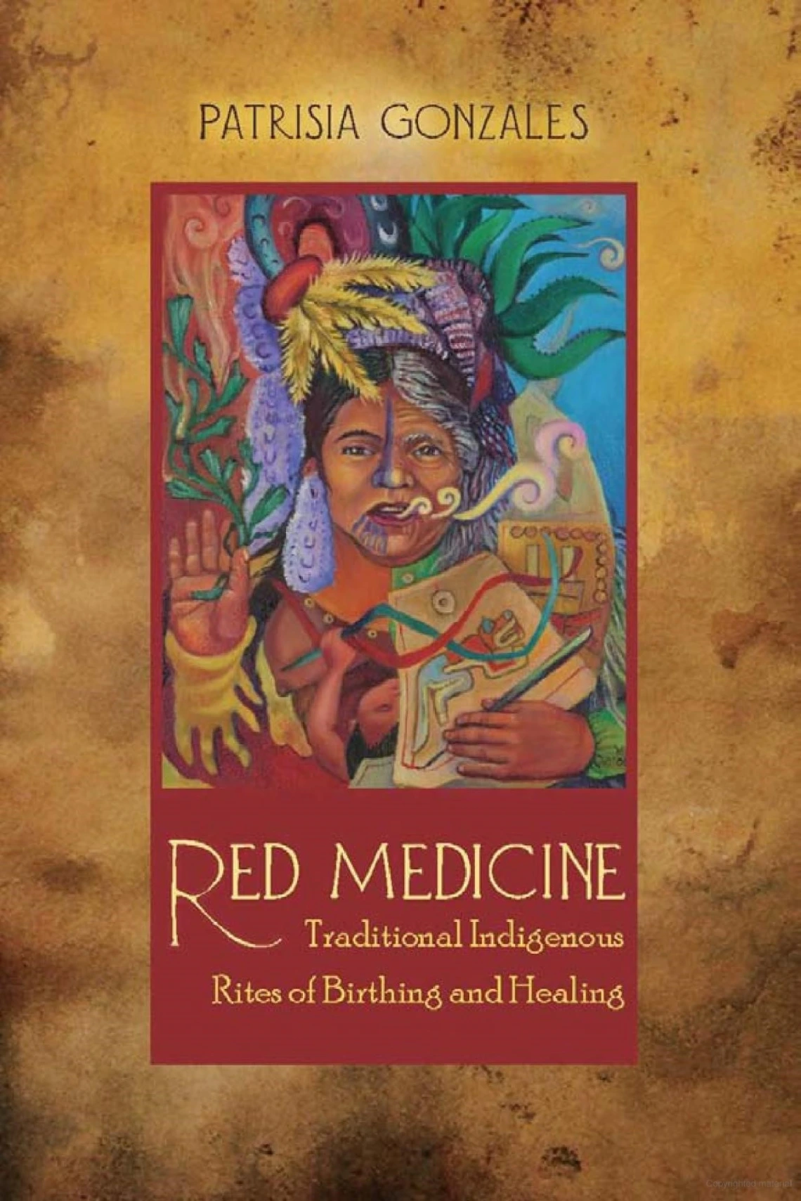 Red Medicine: Traditional Indigenous Rites of Birthing and Healing by Patrisia Gonzales