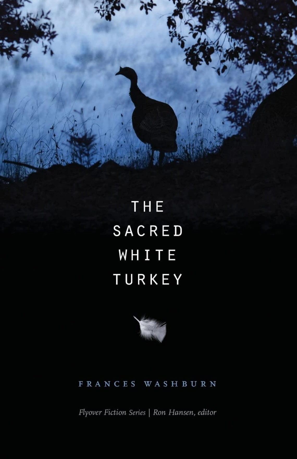 The Sacred White Turkey by Frances Washburn